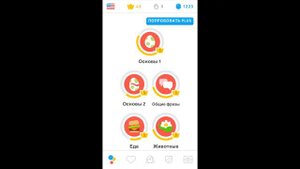 Обзор приложения Duolingo