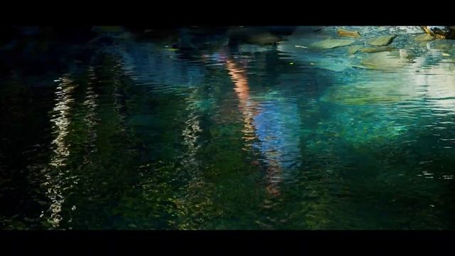 Journey to the mountain river Krasnaya Polyana Sochi BMPCC 4k смотреть онлайн