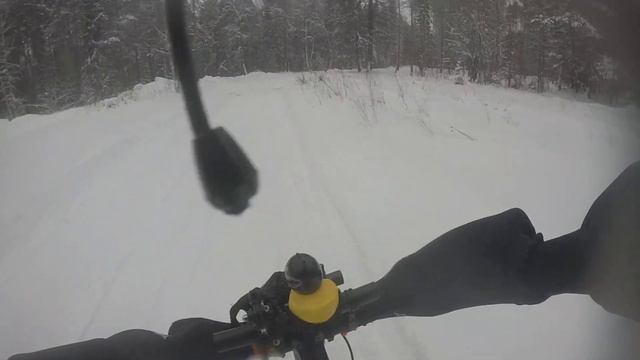 едем по лесной дороге зимой смотреть онлайн