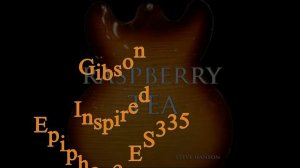 EPIPHONE Inspired by GIBSON ES335