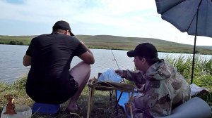 Отличный клев Карася в Августе на донки, классный пруд и классная рыбалка на Карася