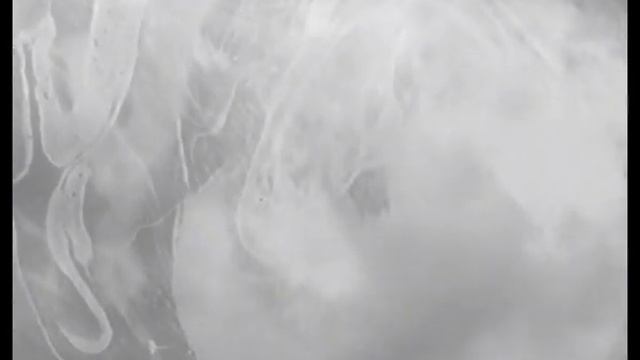 Действо Незнайка смотреть онлайн