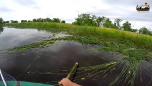 32.д 2016 "Косим камыш на пруду" [GoPro][DJI Phantom]