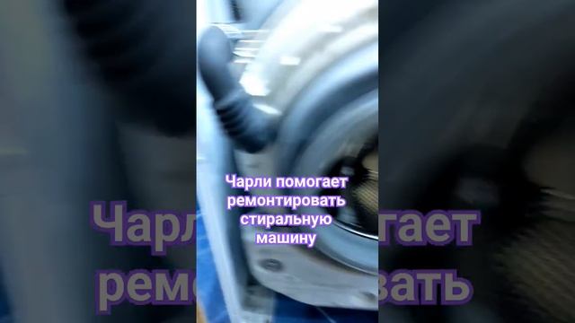 Чарли помогает ремонтировать стиральную машину