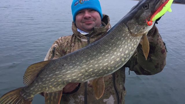 Im❤️KOPYTO 6 смотреть онлайн