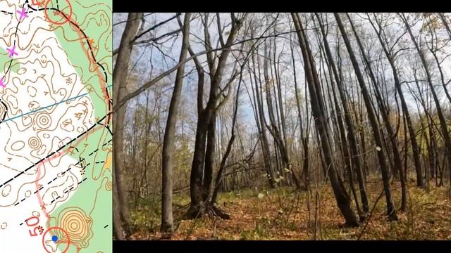 Рогейн в Самаре 14.10.2023 (Headcam orienteering #7) смотреть онлайн