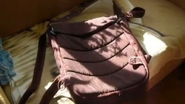 Игры йорка и британского котенка смотреть онлайн