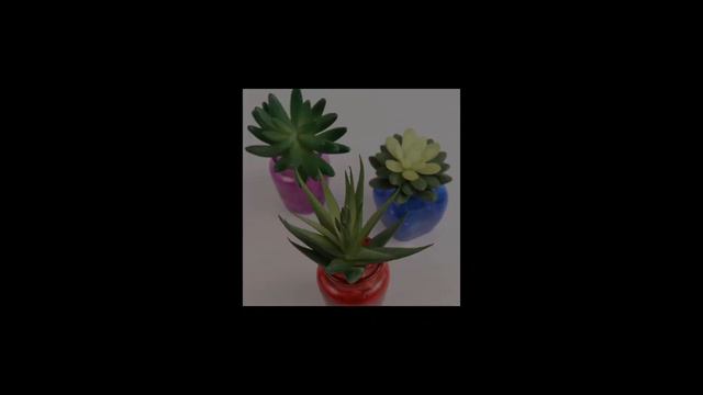 Artificial Succulent смотреть онлайн