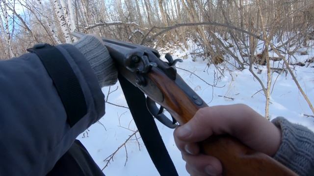 Охота на тетерева осенью. Black grouse hunting