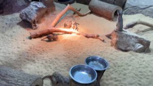 Влог выходного дня. Тула. MaМa Mia. Зооэкзотариум.