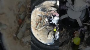 Не сливает воду стиральная машина LG F1296WD4