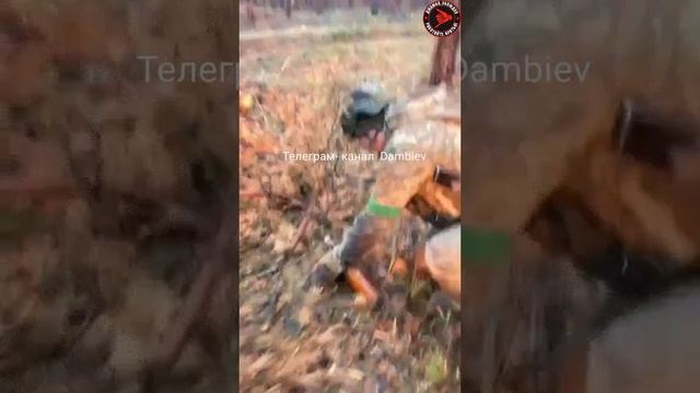 Артиллерия группировки "О" придала украинским боевикам заряд бодрости