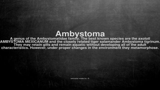 Medical vocabulary: What does Ambystoma mean смотреть онлайн