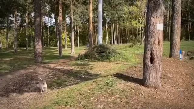 Велопокатушки с бабушками, г. Челябинск смотреть онлайн