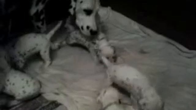 1  video 2012 11 09 20 32 08