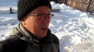 теперь у бездомной собаки с щенятами появился свой домик.