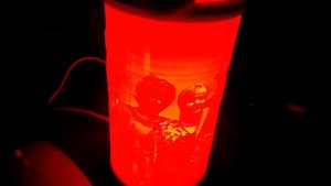 ФОТО НОЧНИК