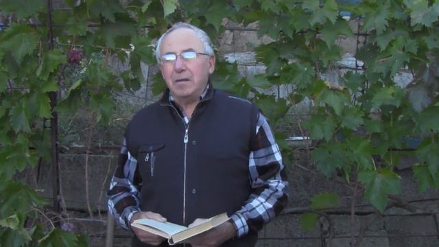 Посадка саженцев винограда. Ответ на вопрос