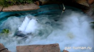 Ультразвуковой генератор тумана для пруда, водоёма. Сайт: par-tuman.ru 10 дисков