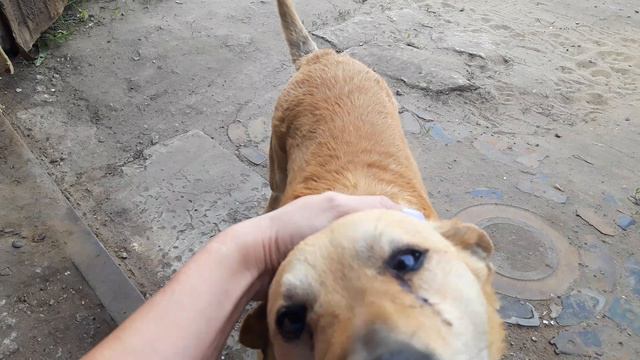 Автодом производство. 
Наш начальник производства Валет