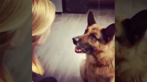 За кадром " Мухтар новый след "