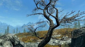 Skyrim (mods) - Spotlight On: Tundra Trees HD - 2K