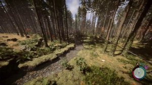 Sons of the Forest: как быстро восстановить выносливость, здоровье