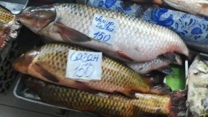 НОВЫЕ Цены на рыбу Рынок ЮЖНЫЙ Хабаровск