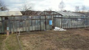 Моя прекрасная дача