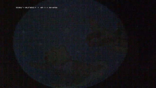 Ночник-проектор Tomy "Мечты Винни Пуха" смотреть онлайн