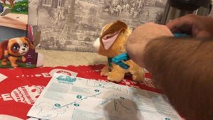 ОБЗОР НЕОБЫЧНОГО ИНТЕРАКТИВНОГО ЩЕНКА. Мягкая игрушка FurReal Friends Собака. Hasbro