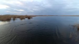 Один вечер на рыбалке. Кастинговая сеть