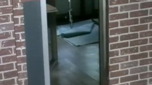 Самсонов+Карякина. 2х08