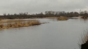 Ущерпье. река Ипуть. декабрь