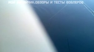 Воблер из КИТАЯ 9 см.9 гр