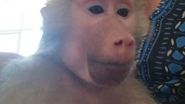 Молодёжь Цените Время!!! Всем хорошего настроения!!! 10.11.23 смотреть онлайн