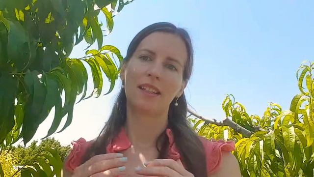 Хвалить себя или жать похвалы? смотреть онлайн