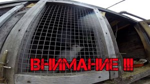 Еда для Кролика Виноградная Лоза, Виноград Кроликам | Дневник Кроликовода №20 | Арболитич