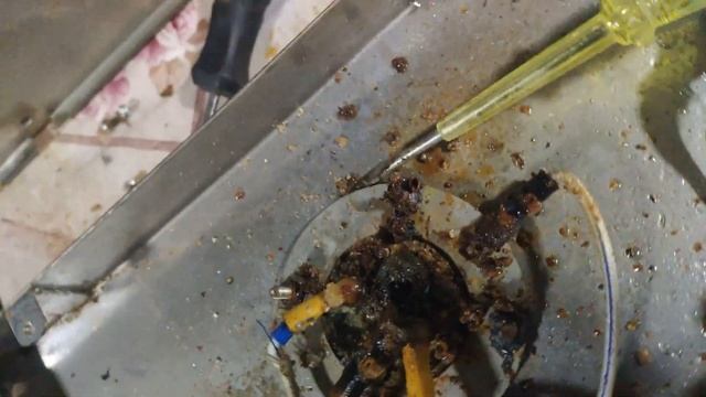 GOLDEN-SMOKER Ревизия и ремонт парогенератора.