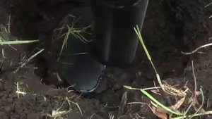 ворота распашные на винтовых сваях