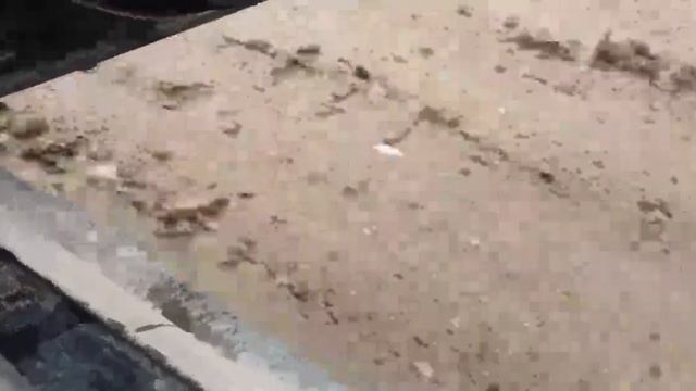 B988 Ford Focus 2011, 1.6, бензин, МКПП смотреть онлайн