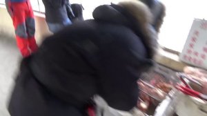 Китай. Сафари парк в Харбине. Тигры рвут курицу. Не для слабонервных