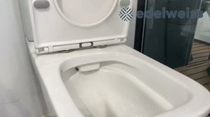 Унитаз-компакт Orans WM-9904G