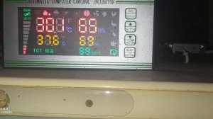 #Инкубатор на 700 яиц своими руками