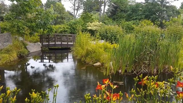 Спокойная музыка для медитации, снятия стресса, глубокого сна смотреть онлайн