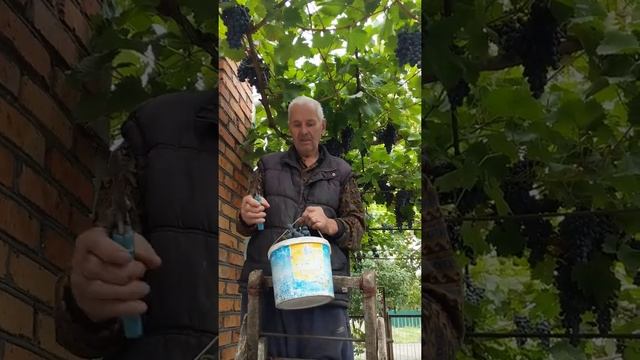 элев8 и 82 года. болезни отступают❤️ смотреть онлайн