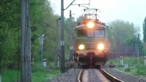 Олень успел увернуться