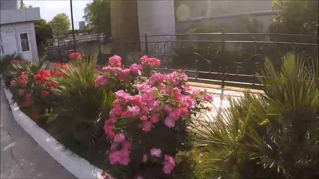 Показываю дорогу на пляж Парус в Сочи смотреть онлайн