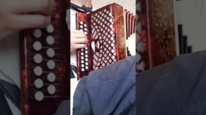 На гармони " А над лагерем ночь... ?"