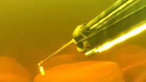 Озеро Янисъярви, Карелия